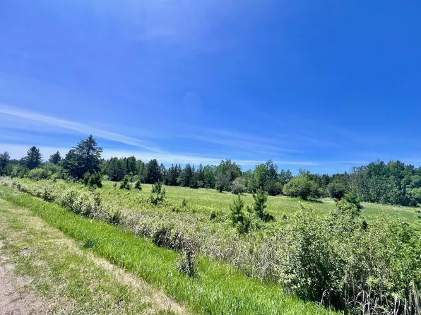 Gopher Dr, Cook, MN 55723