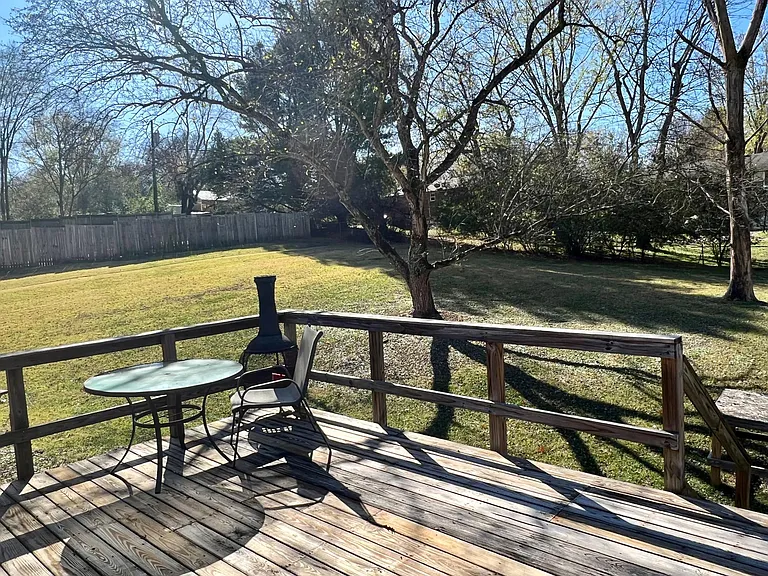 The view of large backyard