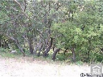 2nd image of 9657 Hillhaven Ave