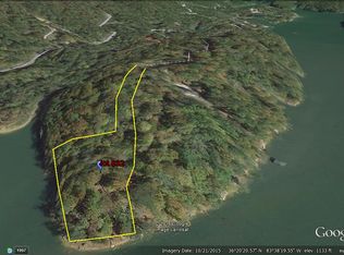 Jacks Bluff Road #832, New Tazewwell, TN 37825