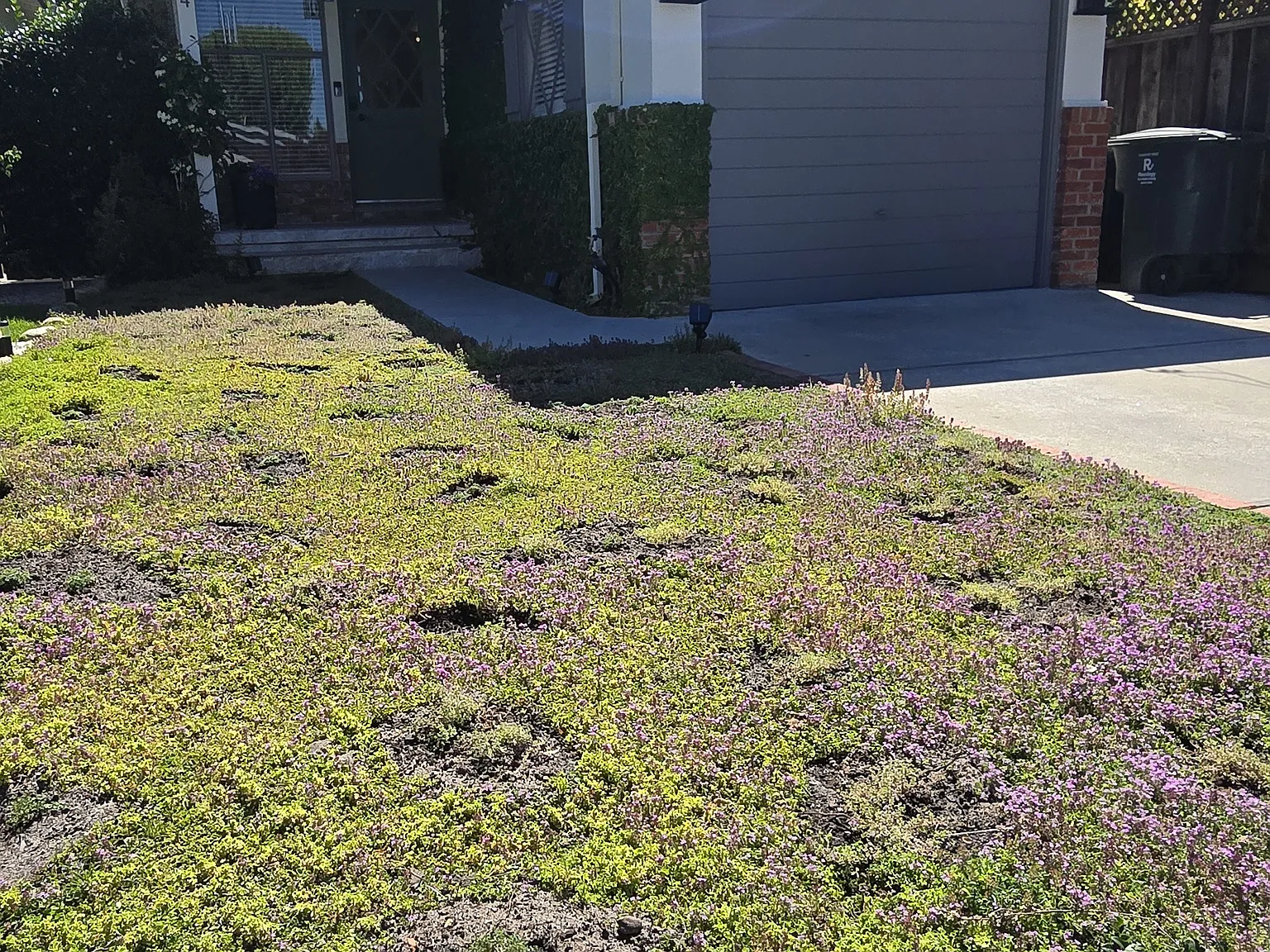 304 San Carlos Ave — Photo 2