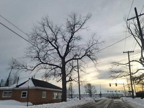 Exterior Neighborhood (street photo)