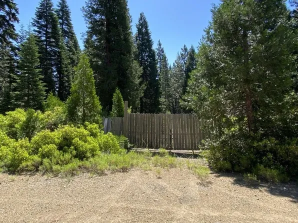 3-G-14 Elk Springs Ct, McCloud, CA 96057
