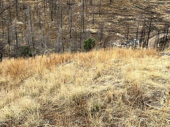 2nd image of 204 Sandia Dr