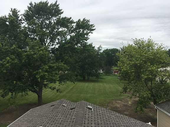 View of the Back Yard.