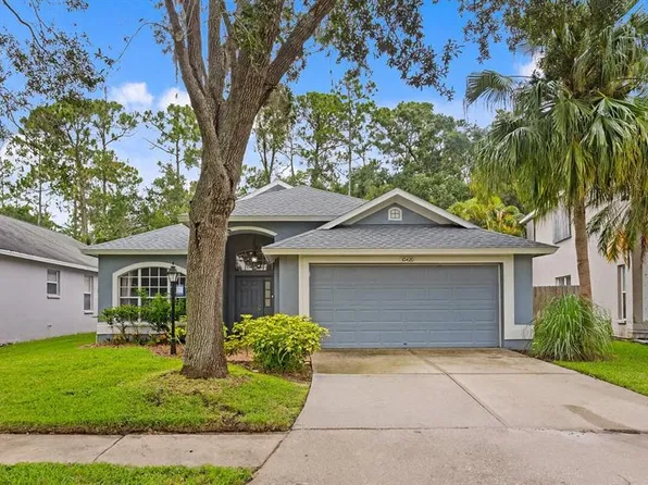 10420 Springrose Dr, Tampa, FL 33626