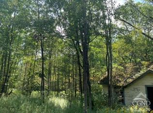 0 Morton Hill Rd, Roscoe, NY 12776