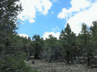 5 Wilderness Ct, Datil, NM 87821