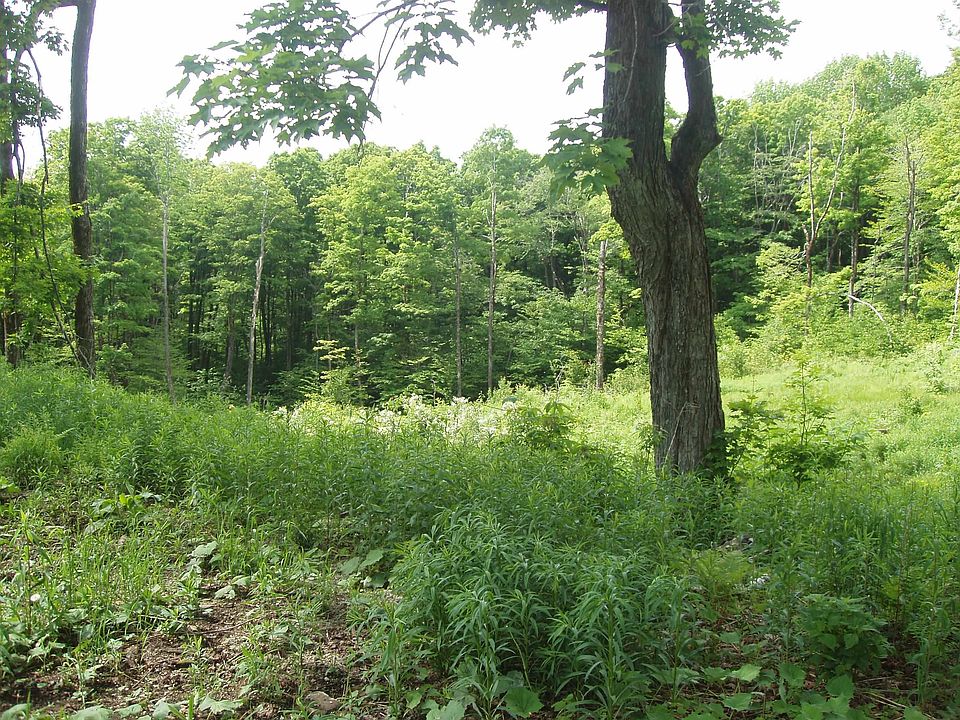 2nd image of Lower Woods and Water Road Lot 16