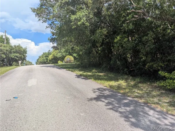 1180 E Cleveland St, Hernando, FL 34442