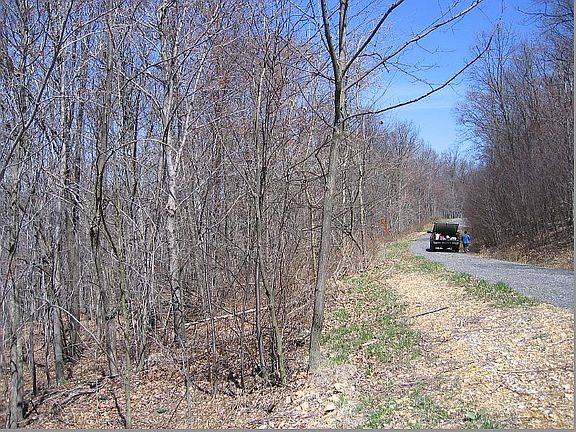 Our road back in 2019