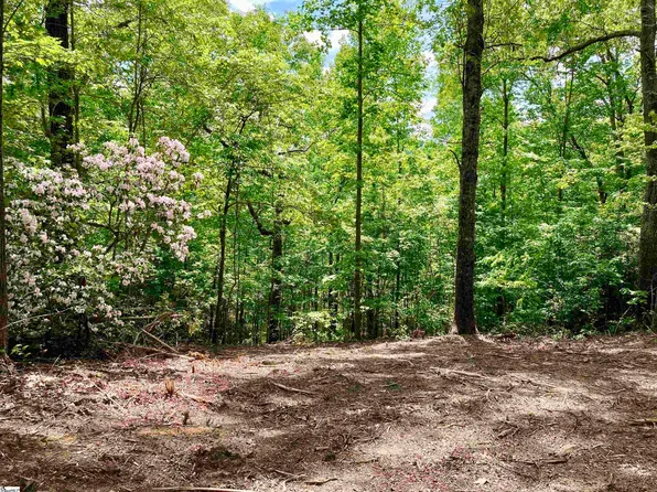 5 Water View Ct, Travelers Rest, SC 29690