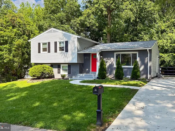 6500 Rivington Rd, Springfield, VA 22152