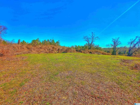 1046 Indiana Ave, Thorsby, AL 35171