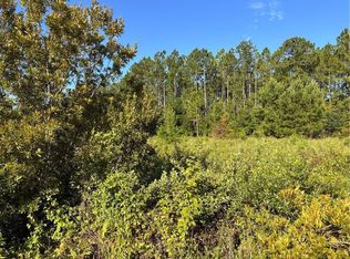 0 Horseshoe Cv, Waverly, GA 31565