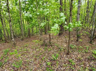 23 S Cross Creek Trl, Mill Spring, NC 28756