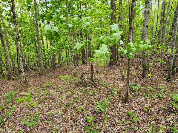 23 S Cross Creek Trl, Mill Spring, NC 28756