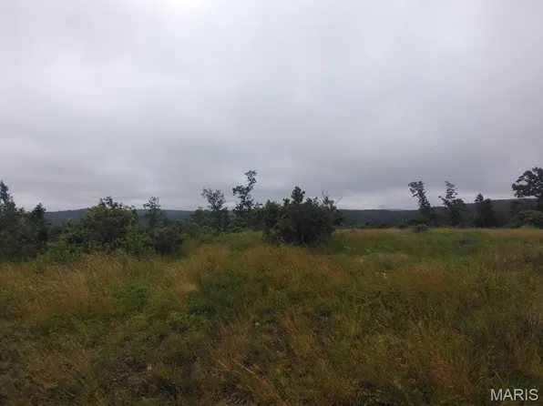 10 Tract Off, Belleview, MO 63623