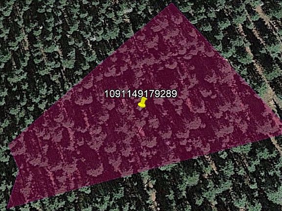 2nd image of Camino Ct