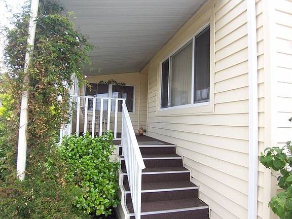 Newer deck and steps