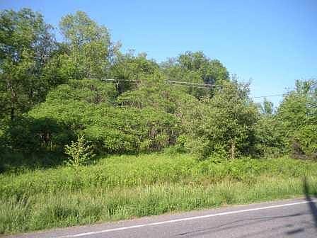 2nd image of 1127 Windfall Rd