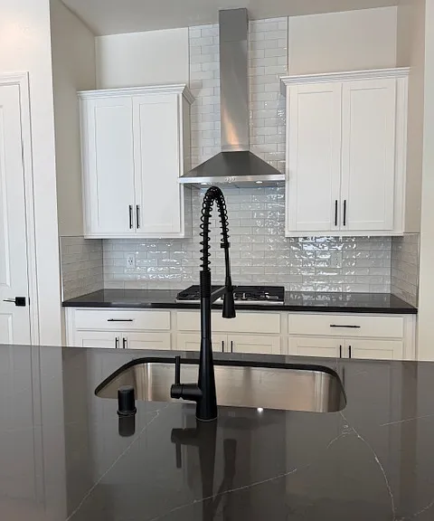 Sleek kitchen faucet - large deep single sink - gas cooking - thick quartz counters - w/brick set backsplash surrounds - 42in Upper cabinets & lower cabinet pull outs - Large walk in Pantry