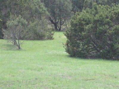 130 Goodnight Loving Trl, Alto, NM, 88312