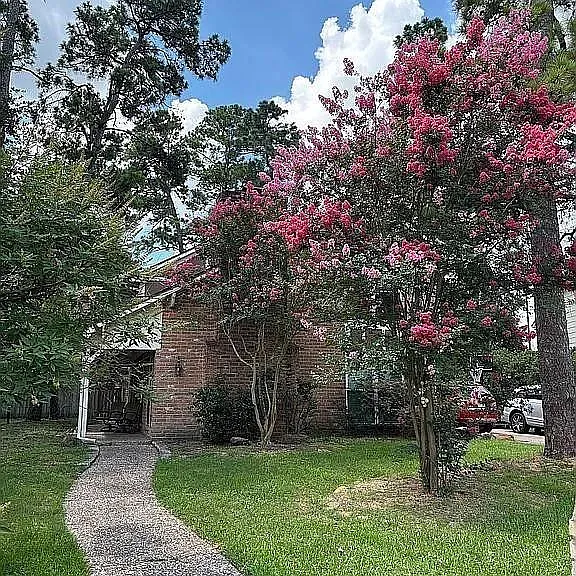 12115 Fawnview Dr — Photo 3