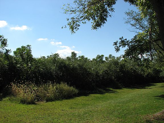 5th image of Kenwood Drive