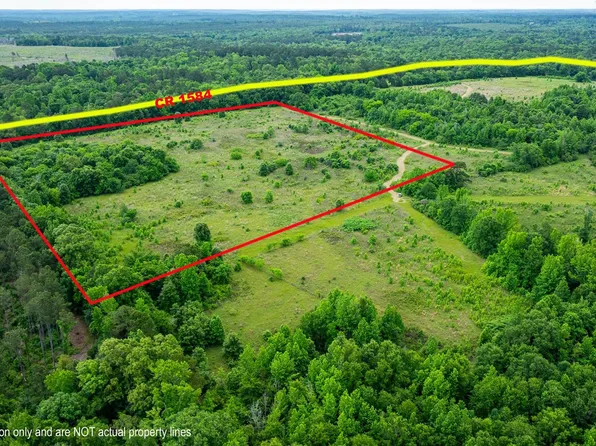 3 County Road 1584, Avinger, TX 75630