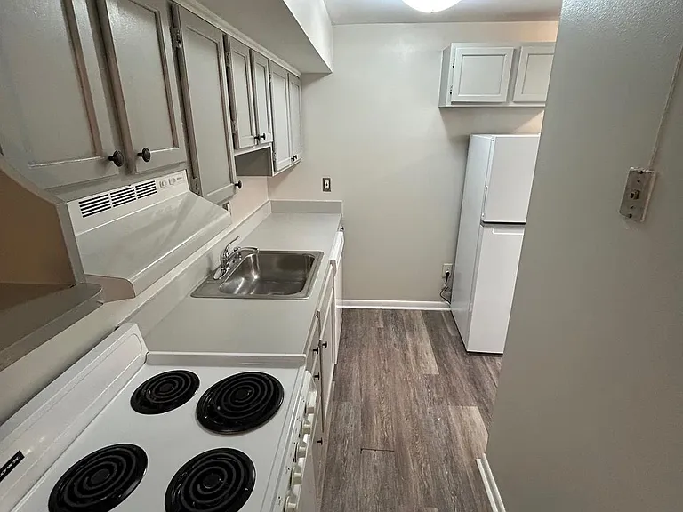 521 S Wolfe St #1R — Photo 5