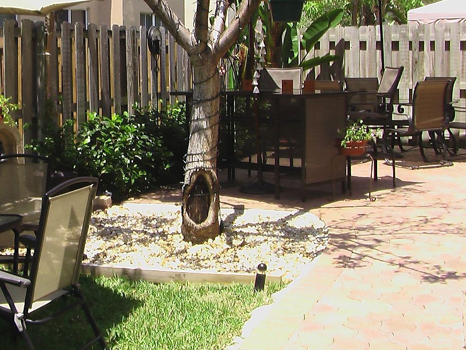 Backyard Picture