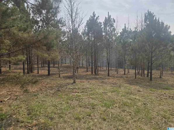 0 County Road 108 #10, Rockford, AL 35136