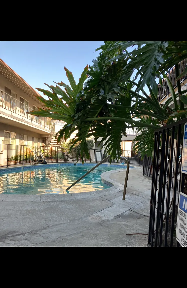 2 bed, $2,100 — Photo 1