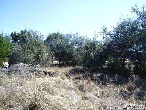 2nd image of 2928 River Way