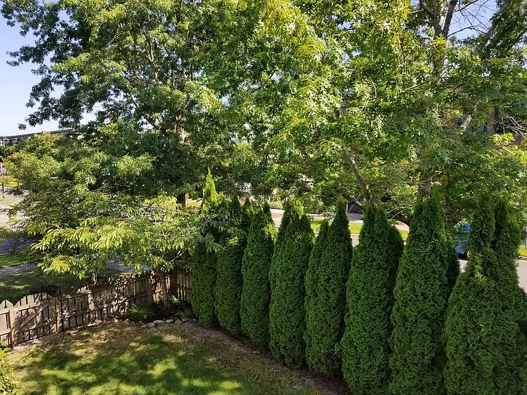 East view from porch