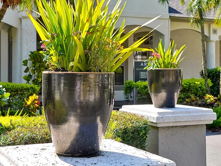 ARIUM Valencia Gardens — Photo 49