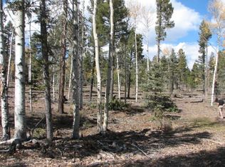 LOT 49 Palo Flechado Ridge Rd, Angel Fire, NM 87710