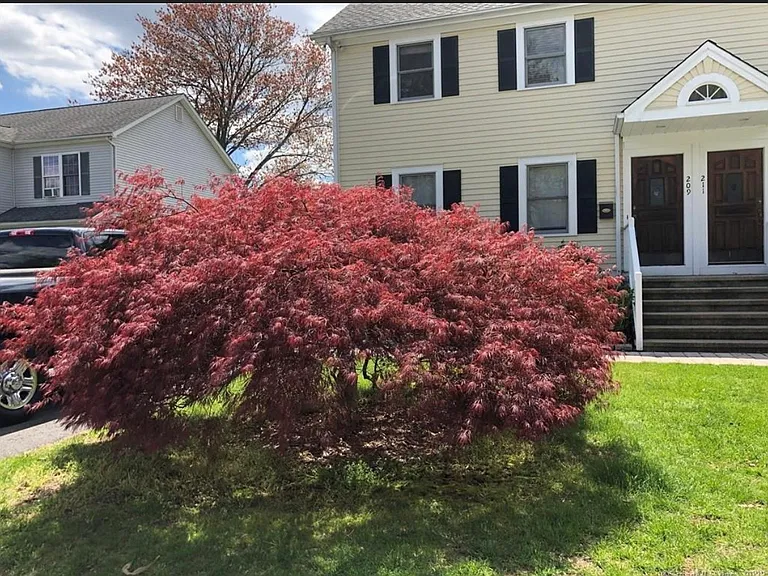 209 Hunyadi Ave — Photo 18