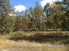 2nd image of 11310 Limpkin Rd