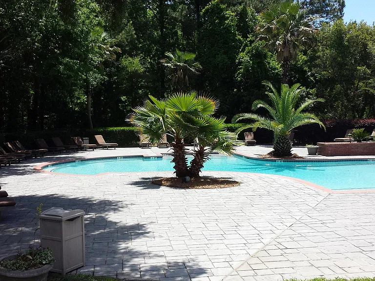 700 Daniel Ellis Dr #14108 — Photo 3