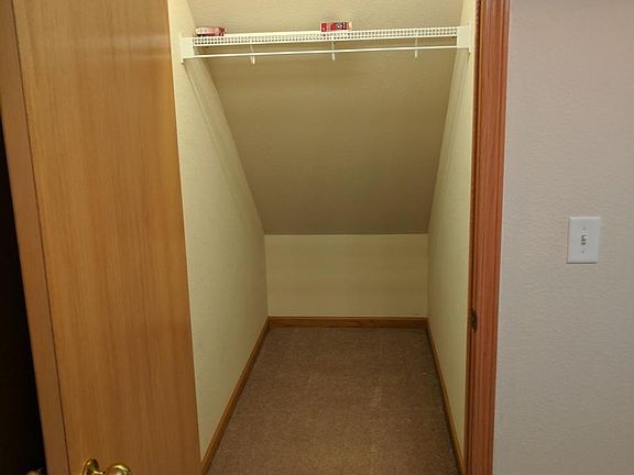 Under Stairs Storage