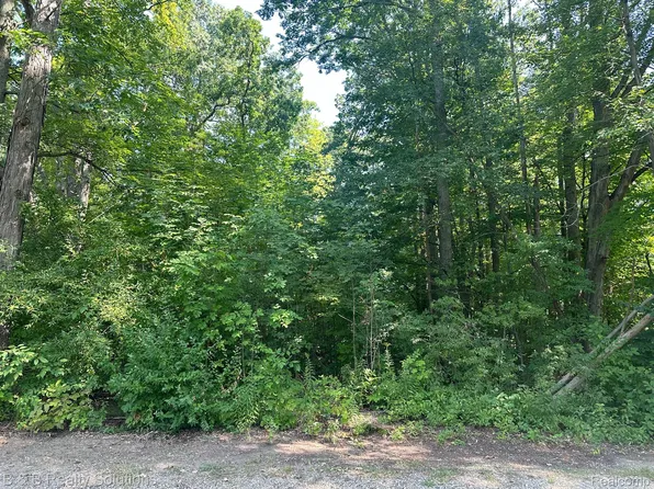 0 Indian Trl, Columbiaville, MI 48421