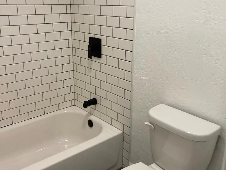 shower and toilet