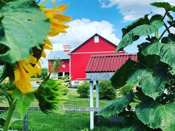 382 E Bullshead Rd, Northampton, PA 18067