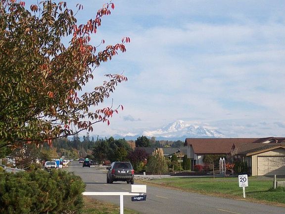 Views of Mount Baker from the property.