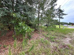 SW 150th Ln LOT 13, Ocala, FL 34473