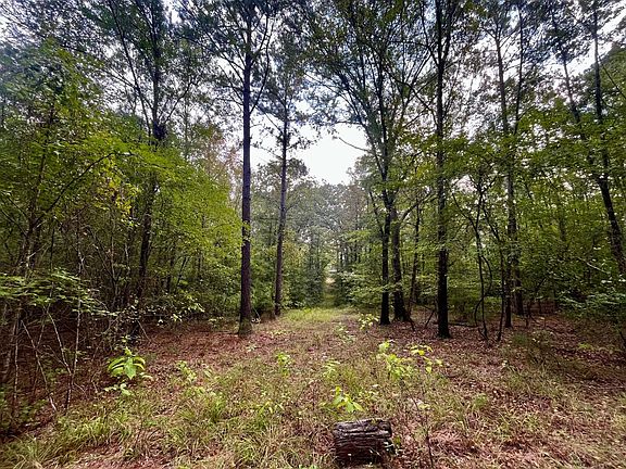 5th image of 912 Bud Farrar Rd