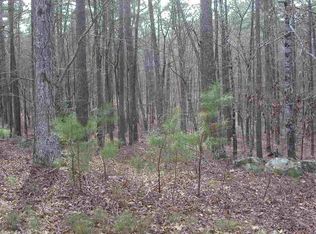 8 Perfecto Ct, Hot Springs Village, AR 71909