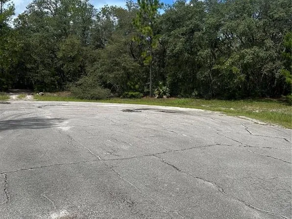 SW 179th Pl Lot 12, Ocala, FL 34473